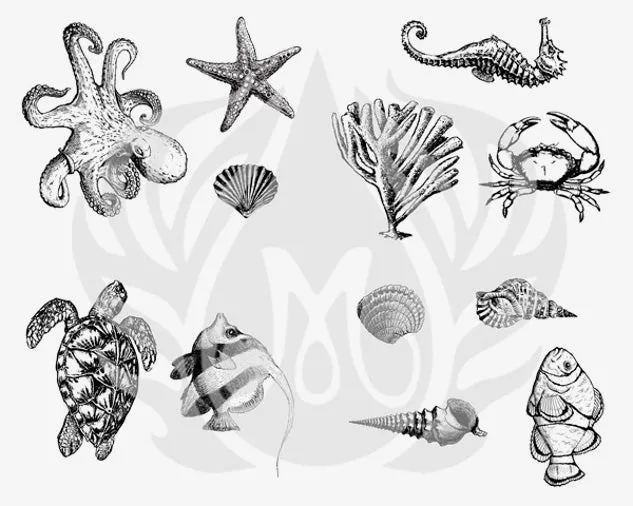 Sea Life Silkscreen