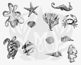 Sea Life Silkscreen
